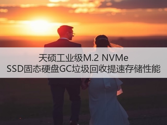 天硕工业级M.2 NVMe SSD固态硬盘GC垃圾回收提速存储性能(图3) 天硕工业级M.2 NVMe SSD固态硬盘GC垃圾回收提速存储性能(图3)