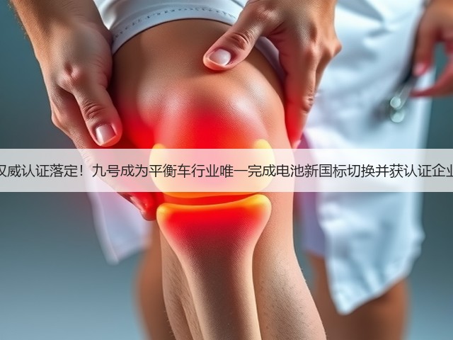 权威认证落定!九号成为平衡车行业唯一完成电池新国标切换并获认证企业(图2) 权威认证落定!九号成为平衡车行业唯一完成电池新国标切换并获认证企业(图2)