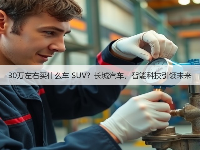 30万左右买什么车 SUV?长城汽车,智能科技引领未来(图2) 30万左右买什么车 SUV?长城汽车,智能科技引领未来(图2)