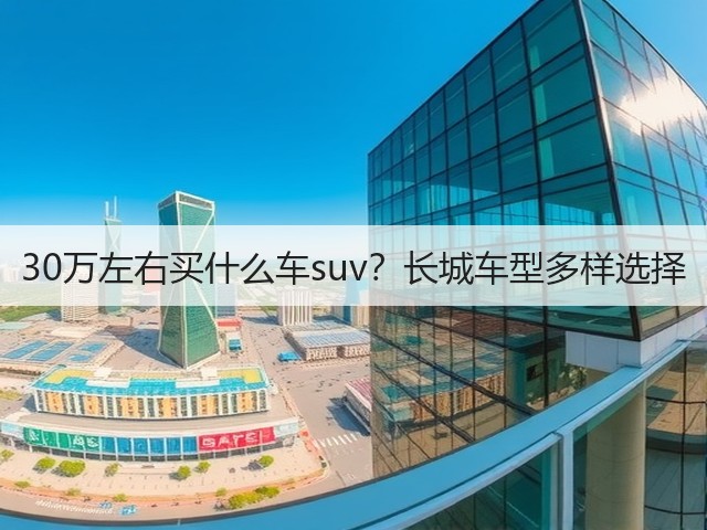 30万左右买什么车suv?长城车型多样选择(图1) 30万左右买什么车suv?长城车型多样选择(图1)