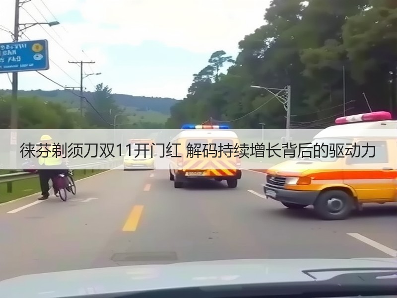 徕芬剃须刀双11开门红 解码持续增长背后的驱动力