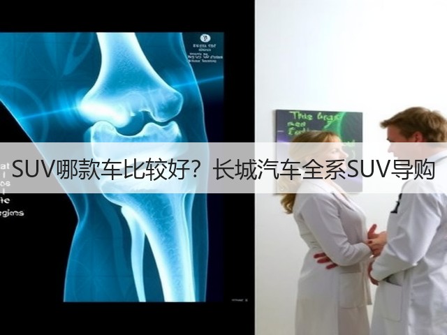 SUV哪款车比较好?长城汽车全系SUV导购(图2) SUV哪款车比较好?长城汽车全系SUV导购(图2)