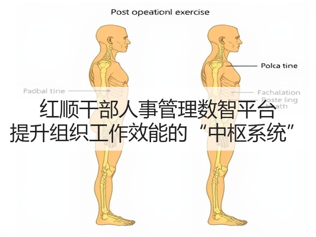 红顺干部人事管理数智平台 提升组织工作效能的“中枢系统”(图1)