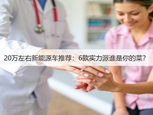 20万左右新能源车推荐：6款实力派谁是你的菜？(图1)