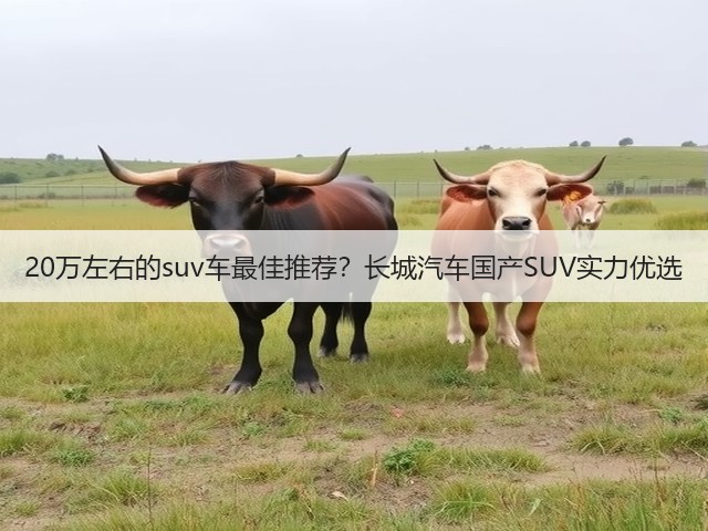 20万左右的suv车最佳推荐?长城汽车国产SUV实力优选(图3) 20万左右的suv车最佳推荐?长城汽车国产SUV实力优选(图3)