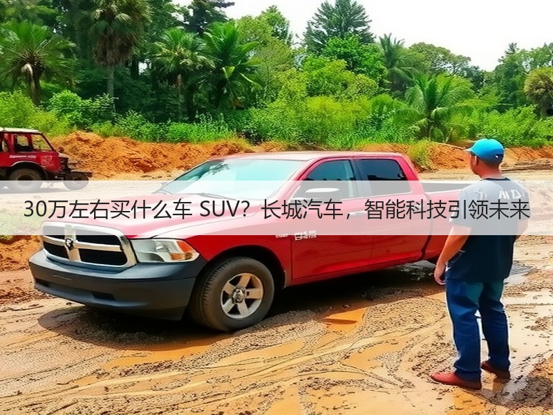 30万左右买什么车 SUV？长城汽车，智能科技引领未来
