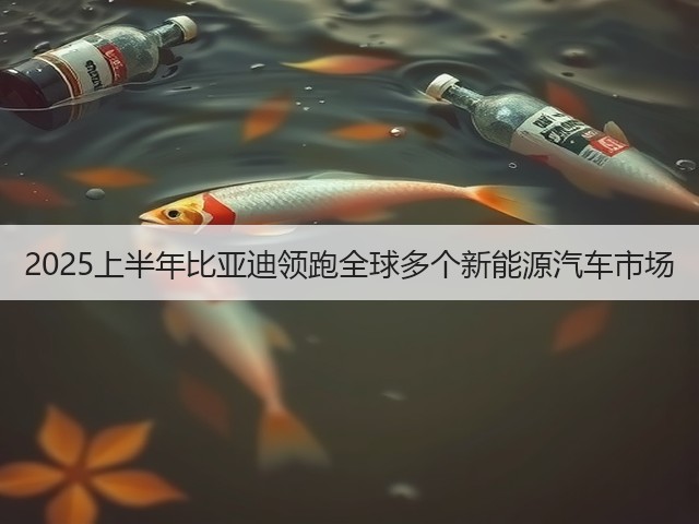 2025上半年比亚迪领跑全球多个新能源汽车市场(图2) 2025上半年比亚迪领跑全球多个新能源汽车市场(图2)