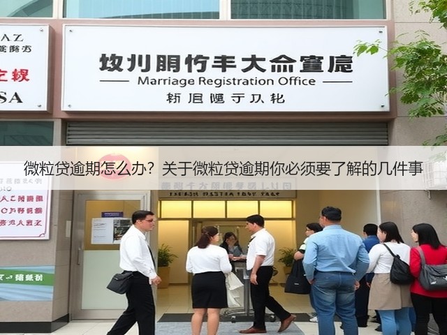 微粒贷逾期怎么办？关于微粒贷逾期你必须要了解的几件事(图3)