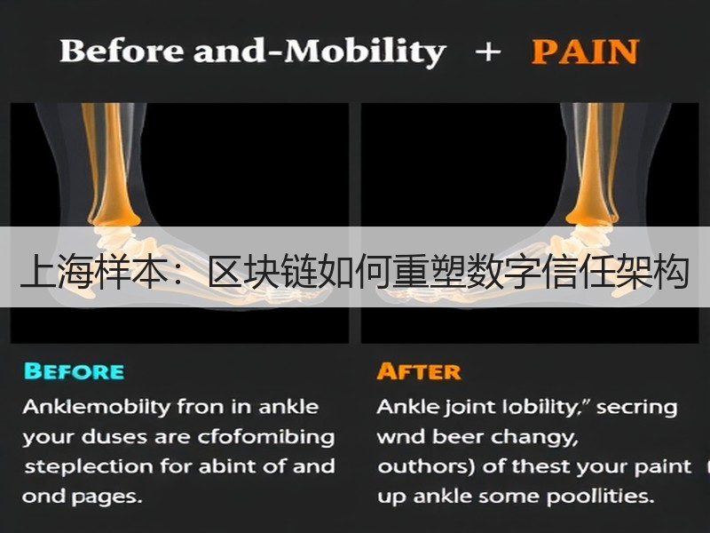 上海样本：区块链如何重塑数字信任架构