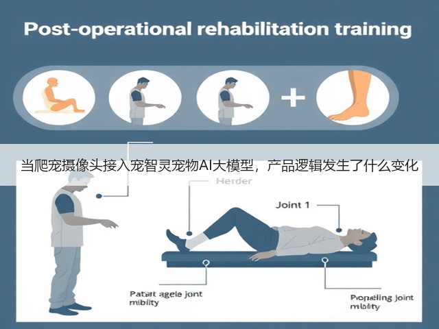 当爬宠摄像头接入宠智灵宠物AI大模型，产品逻辑发生了什么变化(图2)