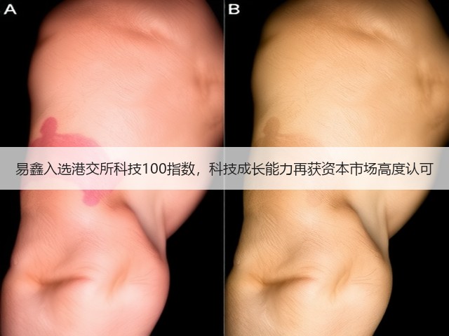 易鑫入选港交所科技100指数,科技成长能力再获资本市场高度认可(图2) 易鑫入选港交所科技100指数,科技成长能力再获资本市场高度认可(图2)
