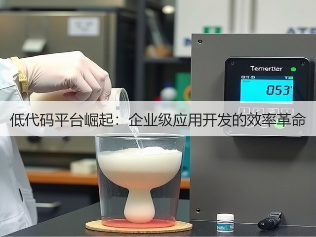 低代码平台崛起：企业级应用开发的效率革命(图1)