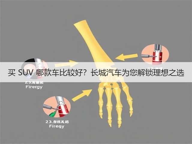买 SUV 哪款车比较好？长城汽车为您解锁理想之选(图2)