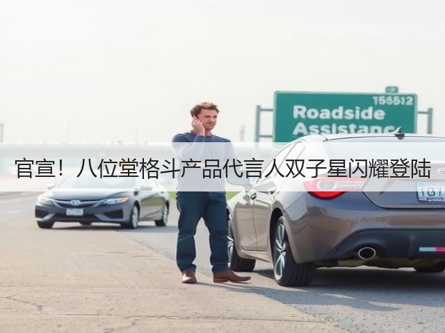 官宣!八位堂格斗产品代言人双子星闪耀登陆(图3) 官宣!八位堂格斗产品代言人双子星闪耀登陆(图3)