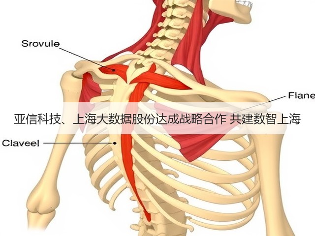 亚信科技、上海大数据股份达成战略合作 共建数智上海(图1) 亚信科技、上海大数据股份达成战略合作 共建数智上海(图1)