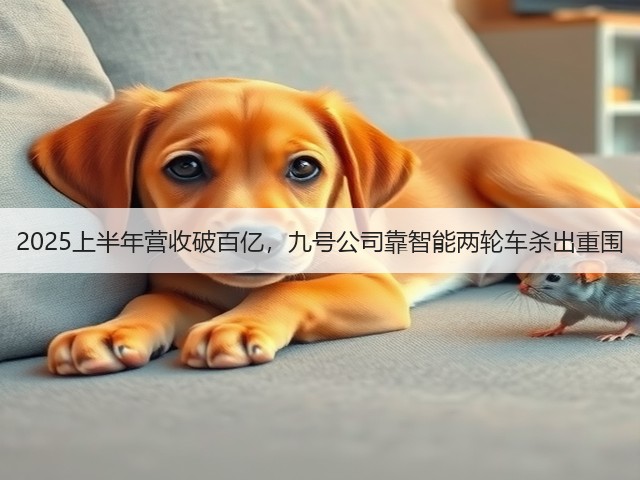 2025上半年营收破百亿，九号公司靠智能两轮车杀出重围(图1)