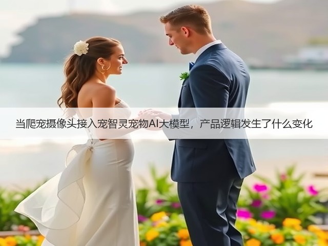 当爬宠摄像头接入宠智灵宠物AI大模型，产品逻辑发生了什么变化(图1)