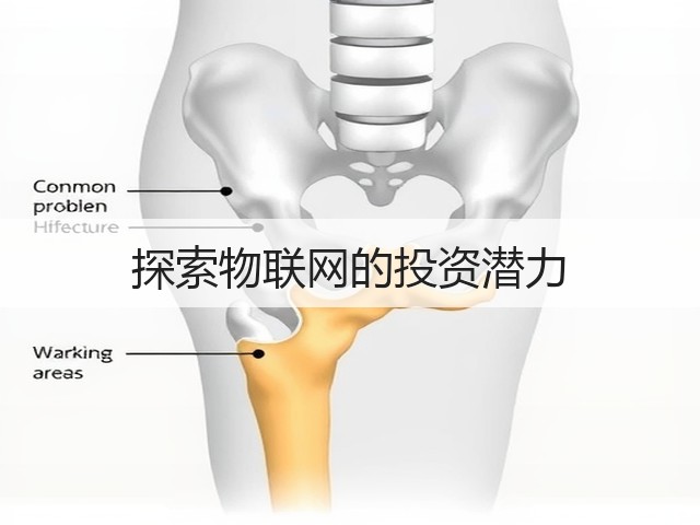 探索物联网的投资潜力(图1) 探索物联网的投资潜力(图1)