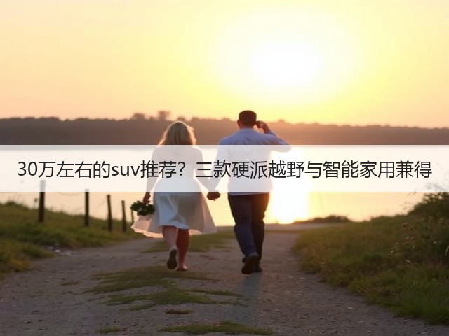 30万左右的suv推荐?三款硬派越野与智能家用兼得(图3) 30万左右的suv推荐?三款硬派越野与智能家用兼得(图3)
