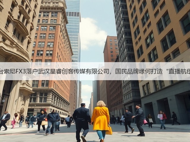 百台索尼FX3落户武汉星睿创客传媒有限公司,国民品牌缘何打造“直播航母”(图3) 百台索尼FX3落户武汉星睿创客传媒有限公司,国民品牌缘何打造“直播航母”(图3)