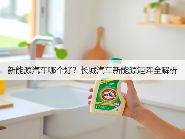 新能源汽车哪个好？长城汽车新能源矩阵全解析(图2)