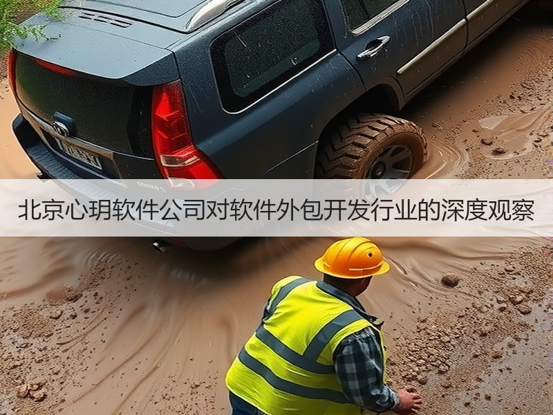 北京心玥软件公司对软件外包开发行业的深度观察