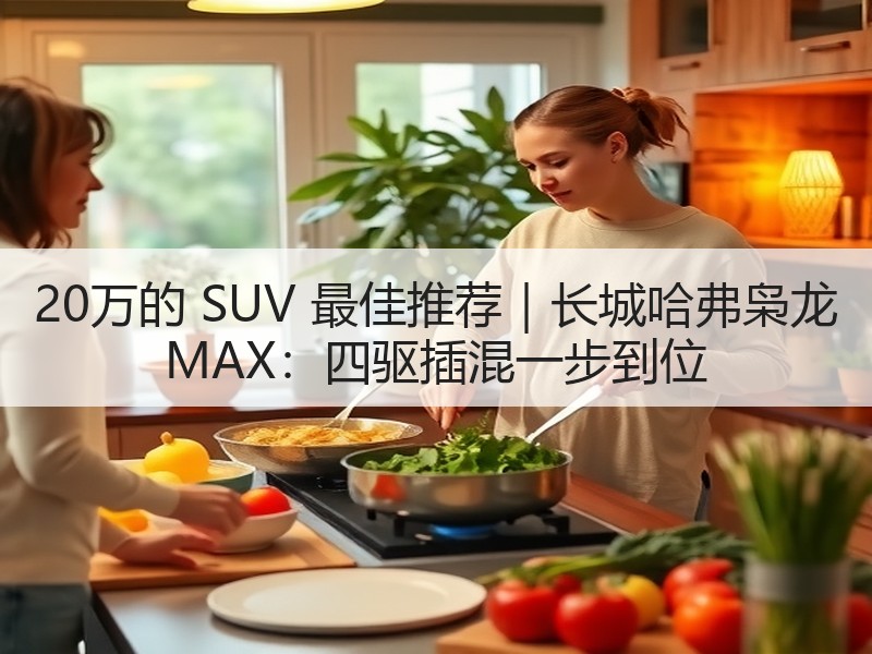 20万的 SUV 最佳推荐｜长城哈弗枭龙 MAX：四驱插混一