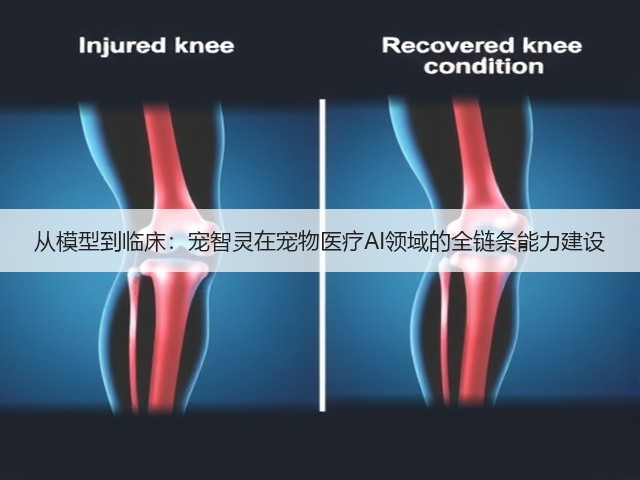 从模型到临床:宠智灵在宠物医疗AI领域的全链条能力建设(图1) 从模型到临床:宠智灵在宠物医疗AI领域的全链条能力建设(图1)