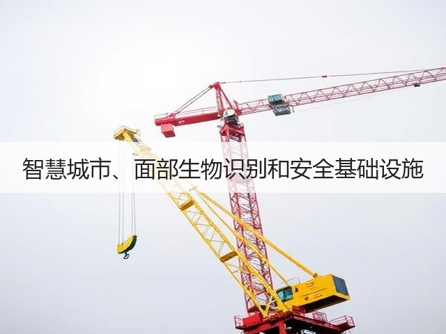 智慧城市、面部生物识别和安全基础设施(图2)