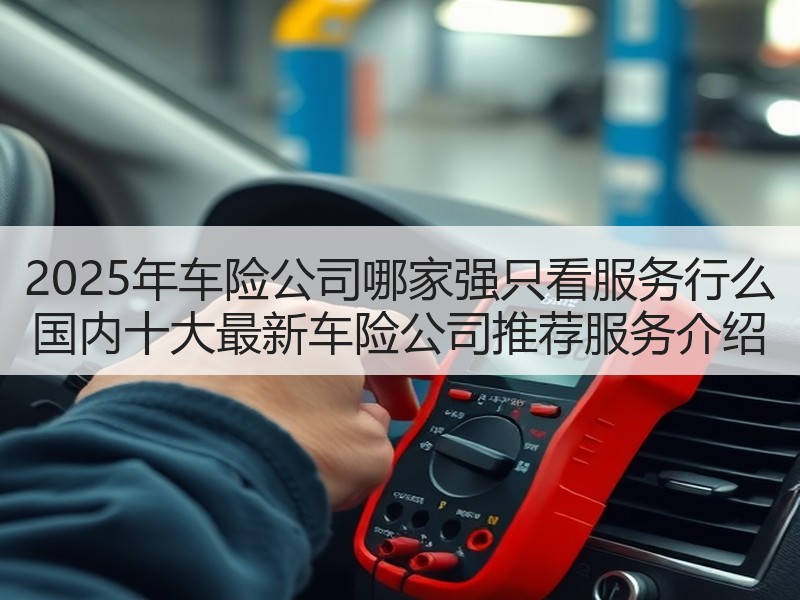 2025年车险公司哪家强只看服务行么 国内十大最新车险公司推