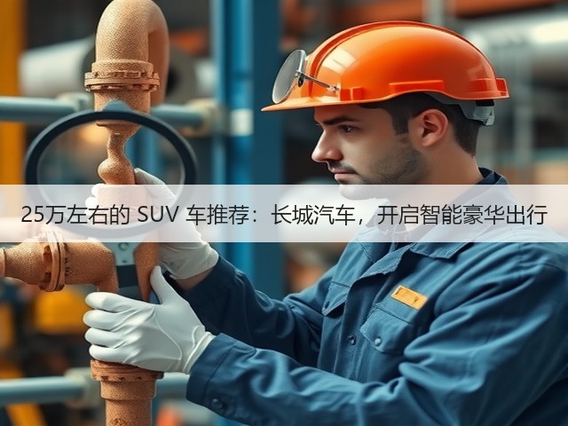 25万左右的 SUV 车推荐：长城汽车，开启智能豪华出行(图2)