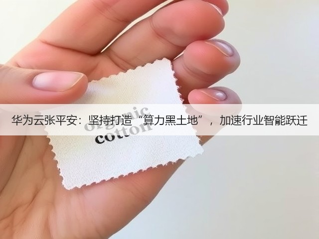 华为云张平安:坚持打造“算力黑土地”,加速行业智能跃迁(图1) 华为云张平安:坚持打造“算力黑土地”,加速行业智能跃迁(图1)