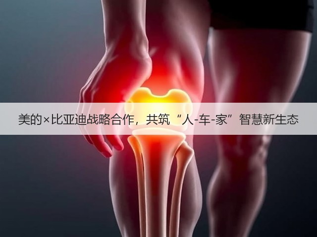 美的×比亚迪战略合作，共筑“人-车-家”智慧新生态(图1)