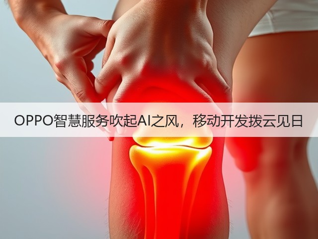 OPPO智慧服务吹起AI之风,移动开发拨云见日(图1) OPPO智慧服务吹起AI之风,移动开发拨云见日(图1)