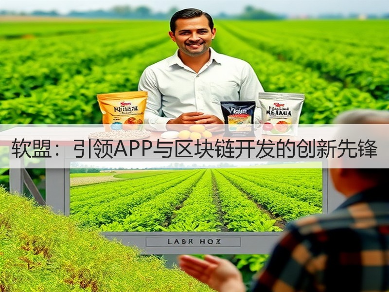 软盟：引领APP与区块链开发的创新先锋