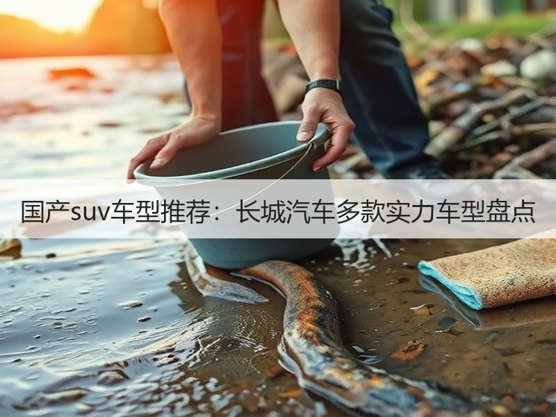 国产suv车型推荐：长城汽车多款实力车型盘点