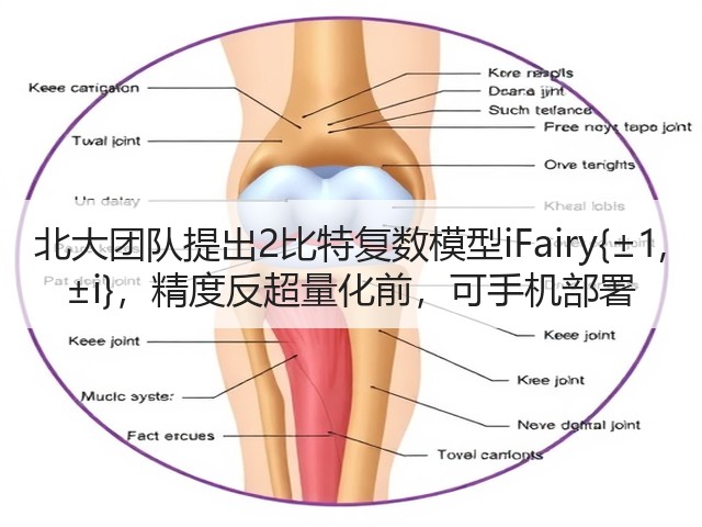 北大团队提出2比特复数模型iFairy{±1, ±i}，精度反超量化前，可手机部署(图2)