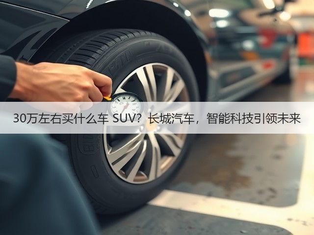 30万左右买什么车 SUV？长城汽车，智能科技引领未来(图1)