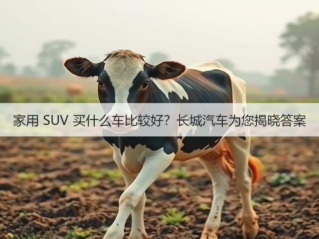 家用 SUV 买什么车比较好？长城汽车为您揭晓答案(图3)