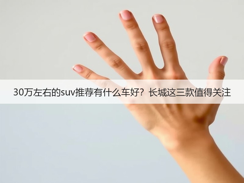 30万左右的suv推荐有什么车好？长城这三款值得关注