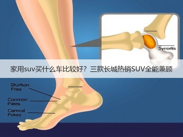家用suv买什么车比较好?三款长城热销SUV全能兼顾(图3) 家用suv买什么车比较好?三款长城热销SUV全能兼顾(图3)
