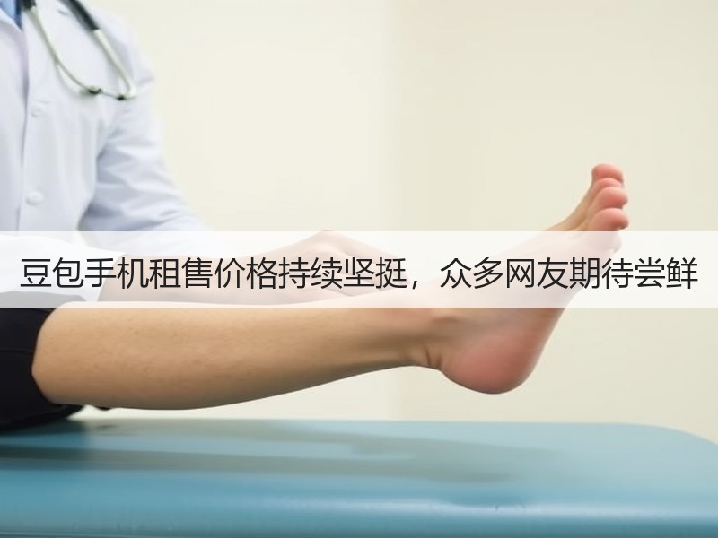 豆包手机租售价格持续坚挺，众多网友期待尝鲜