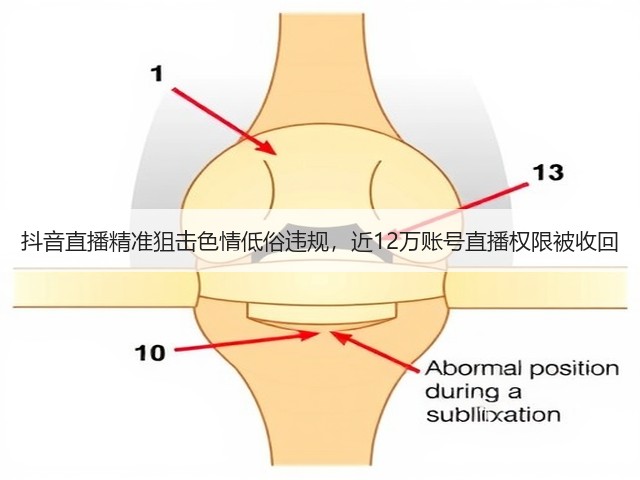 抖音直播精准狙击色情低俗违规,近12万账号直播权限被收回(图3) 抖音直播精准狙击色情低俗违规,近12万账号直播权限被收回(图3)