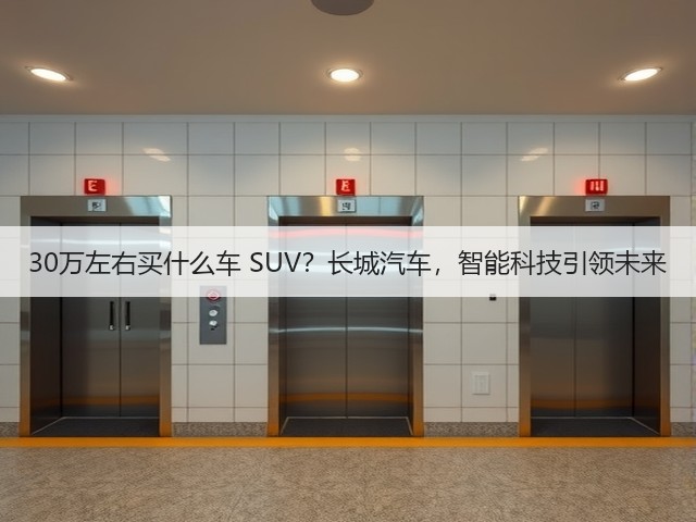 30万左右买什么车 SUV？长城汽车，智能科技引领未来(图2)