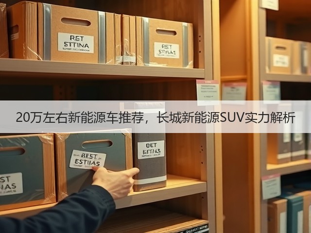 20万左右新能源车推荐，长城新能源SUV实力解析(图1)