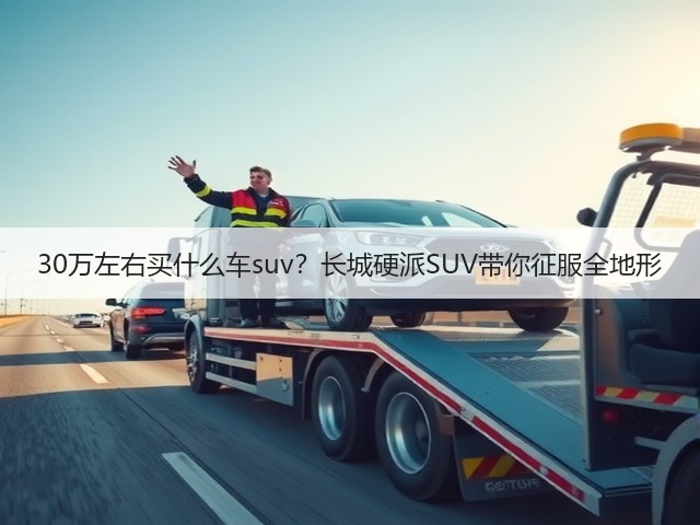 30万左右买什么车suv？长城硬派SUV带你征服全地形(图2)