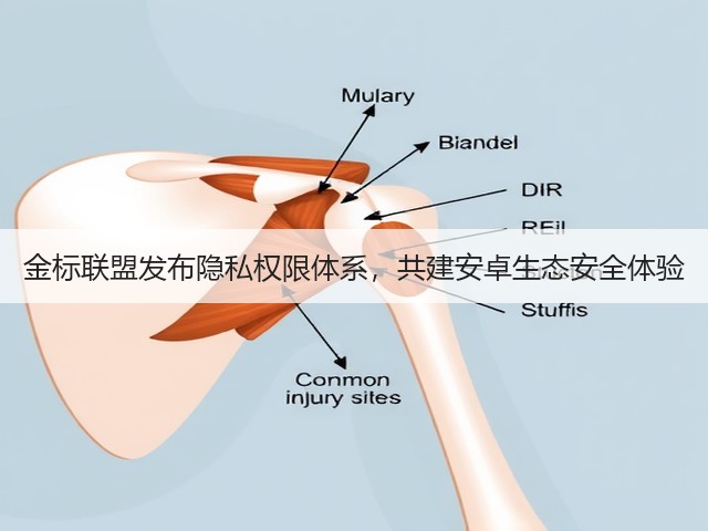 金标联盟发布隐私权限体系，共建安卓生态安全体验(图1)