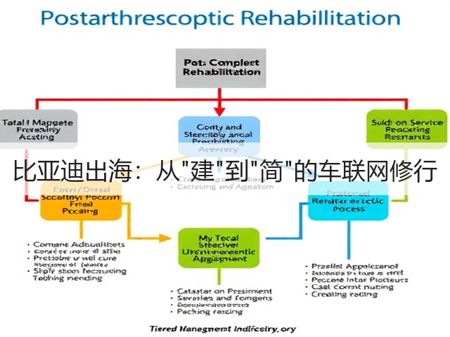 比亚迪出海:从建到简的车联网修行(图1) 比亚迪出海:从建到简的车联网修行(图1)