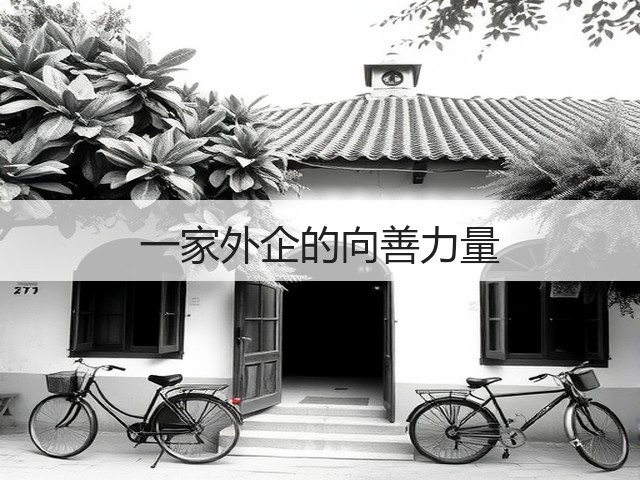 一家外企的向善力量(图3) 一家外企的向善力量(图3)