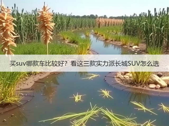 买suv哪款车比较好?看这三款实力派长城SUV怎么选(图2) 买suv哪款车比较好?看这三款实力派长城SUV怎么选(图2)